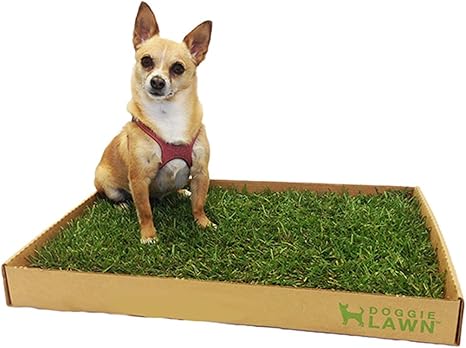 Amazon Com Doggielawn Disposable Dog Potty With Real Grass Pet