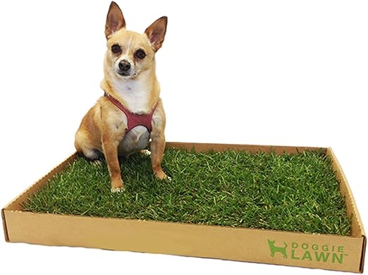 real grass puppy pad