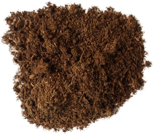 Josh's Frogs Coco Block Fine Coco Fiber (5 kg/38 quarts)