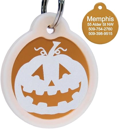 goldfish starter kit