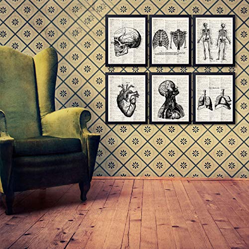 Anatomical Medical Art Vintage Book Art Print Set of 6, Unframed 8x10 Inch Human Skeleton Patent Picture