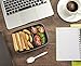 Glotoch Food Storage Containers Set with Lid for Meal Prep and Portion Control in 2 Compartment Bento Box-Microwaveable, Freezer & Dishwasher Safe (32oz 10pack)