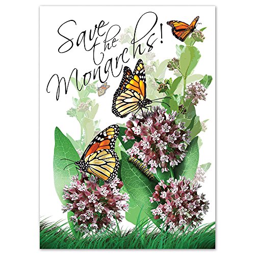 Set of 25 Individual Seed Packet Favors, Common Milkweed 