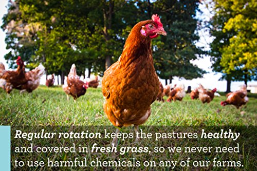 4 Vital+Farms+Alfresco+Pasture+Raised