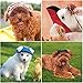 Pawaboo Dog Baseball Cap, Adjustable Dog Outdoor Sport Sun Protection Baseball Hat Cap Visor Sunbonnet Outfit with Ear Holes for Puppy Small Dogs, Small, Floral Purple