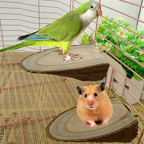 gofar Pet Parrot Hamster Wood Platform Stand Perches Rack Branch for Bird Cage Toy Brown