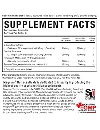 Magnum nutracéuticos Carne Diem Carnitine quemador – 96 Cápsulas – Aumenta la pérdida de...