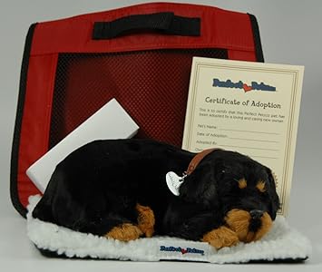 perfect petzzz rottweiler