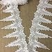 Trim Lace Holiday Amaryllis Goatee Design Venise by The Yard, 6