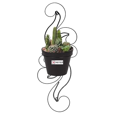 NAYAB Scroll 60cm Long Wall Mounted Iron Plant Holder Hanger Stand Rack Without Pot Planters for Hanging Balcony, Garden, Indoor Outdoor Decor Corner Shelf