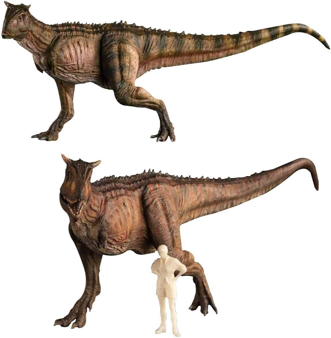 carnotaurus nanmu
