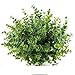 Artificial Shrubs, 6pcs Faux Plastic Eucalyptus Leaves Bushes Fake Simulation Greenery Plants Boxwood Indoor Outside Home Garden Office Verandah Wedding Decor
