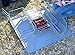 Little Buster Toys Sweep Alley - Separate Pens and Cattle Feeders Fully Functioning Gates, 1/16th Scale