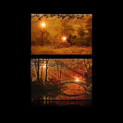 Online-Fuchs 2 LED Bilder mit Beleuchtung, Timer und Fernbedienung! - Leinwandbild 60 x 40 cm - Wandbild mit Sonnenuntergang 