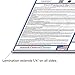 2017 (SPANISH) Oregon State and Federal Labor Law Poster - Laminated 24