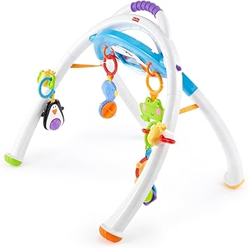 mi primer gimnasio fisher price