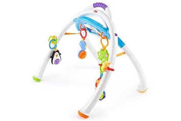 fisher price apptivity seat