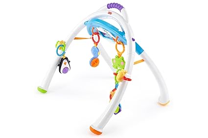 Mattel Fisher-Price Y4476 - Apptivity Gym, Spielbogen