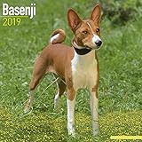 Basenji Calendar - Dog Breed Calendars - 2018 - 2019 Wall Calendars - 16 Month by Avonside by