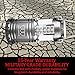Camping Lantern - LED Lantern Camping Gear Equipment Camping Lantern Flashlights for Outdoor, Hiking, Emergencies, Hurricanes, Outages (Gray, 2 Pack)