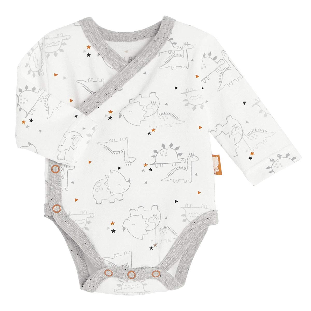 Taille 1 Mois Lot De 2 Bodies Bebe Garcon Croises Manches Longues Dino Dingo Petit Beguin Bebe Bebe Garcon 0 24m Mystik Com Au