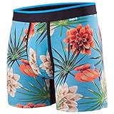 Stance Mens Wanderer Boxers Underwear