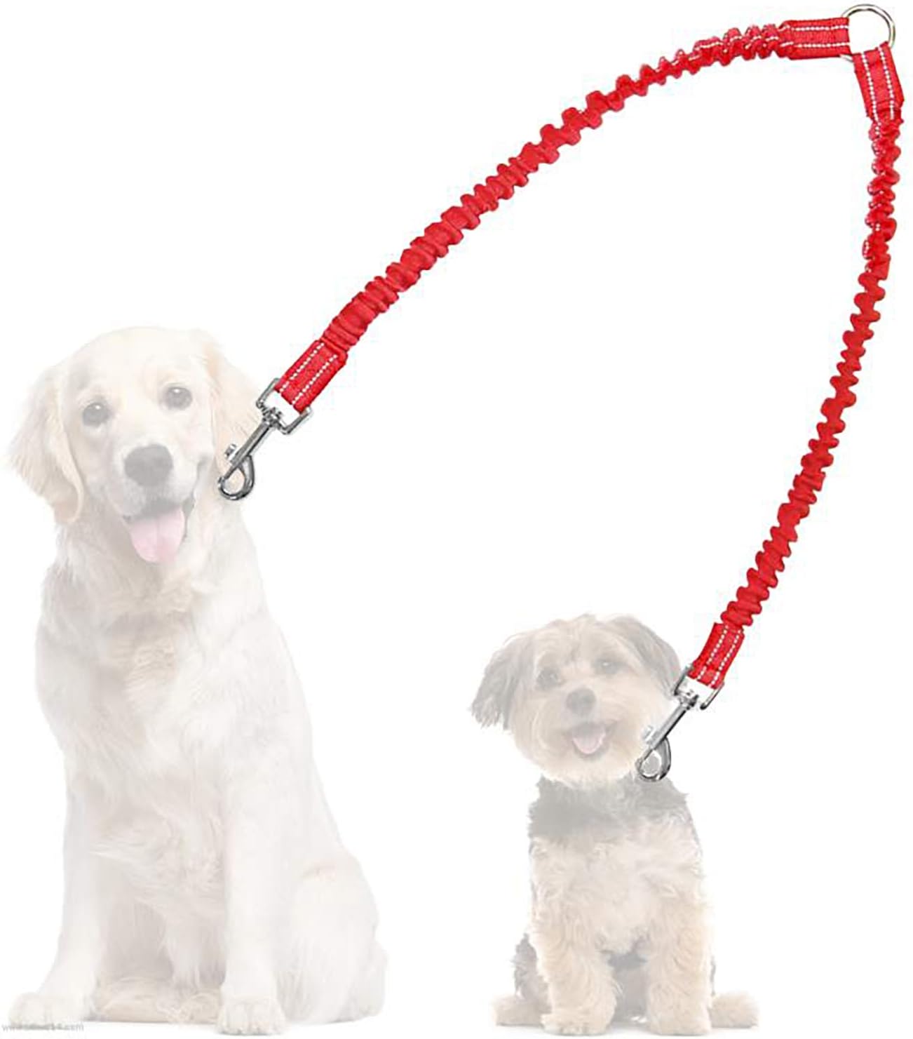 double dog leashes