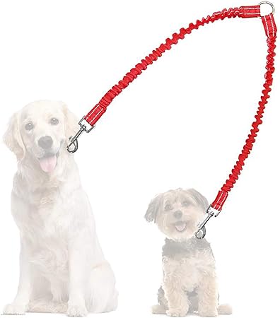 amazon double dog leash