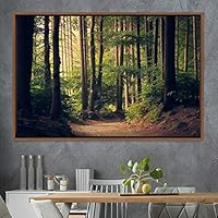 Framed Canvas Wall Art Rustic Woods Brown Dark Dramatic Forest Group Nature Photography Realism - 16x24 inches
