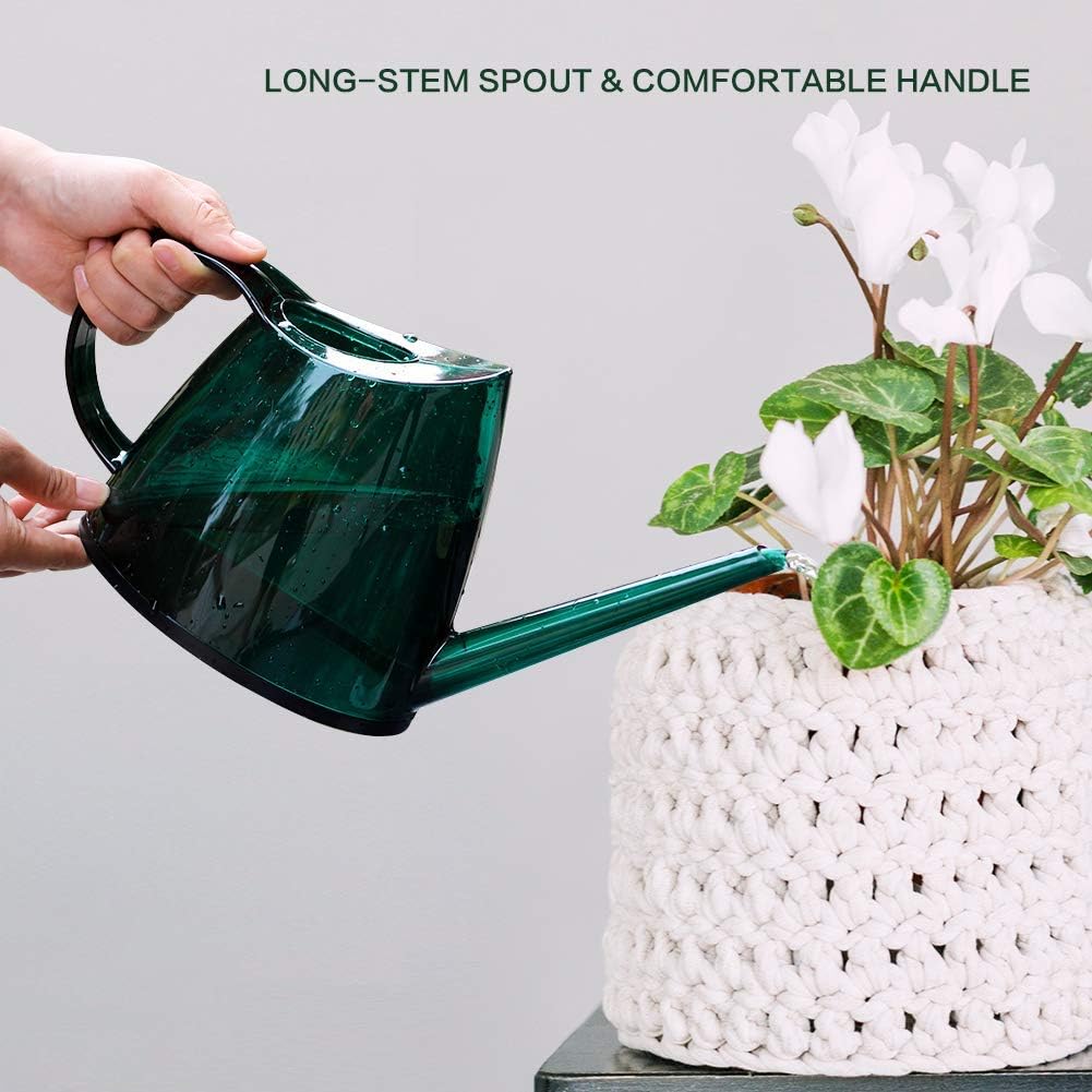 Evertree Watering Can Indoor, Small Watering Can for House Plants, Bonsai, Succulents and Flowers, Long Spout, with Plant Mister Spray Bottle : Garden & Outdoor