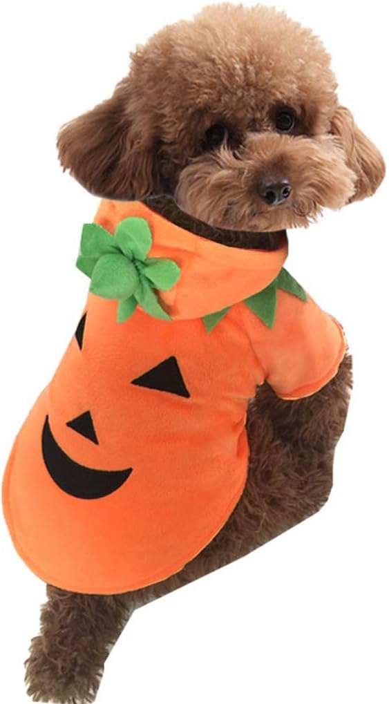 Halloween Pet Costumes Smiling Pumpkin bedruckt Hunde Kostüme Party