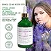 Cypress - Lavender Natural Hair Growth Scalp Stimulating Treatment & Hair Rejuvenation Oil For Hair Loss and Hair Thinning Prevention - Lab Formulated - Postpartum / Alopecia / DHT 4 oz