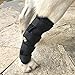 WSGEE Dog Canine Rear Leg Knee Brace Hock Joint Arthritis Wrap for Heals Prevents Injuries Sprains Helps with Loss of Stability