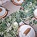 SUPLA 2 Pcs Faux Silver Dollar Eucalyptus Leaves Greenery Garland Total 12Ft Long Artificial Eucalyptus Twig Vine Garland Decorative Fake Hanging Eucalyptus for Greenery Decor Wedding Floral Mantle