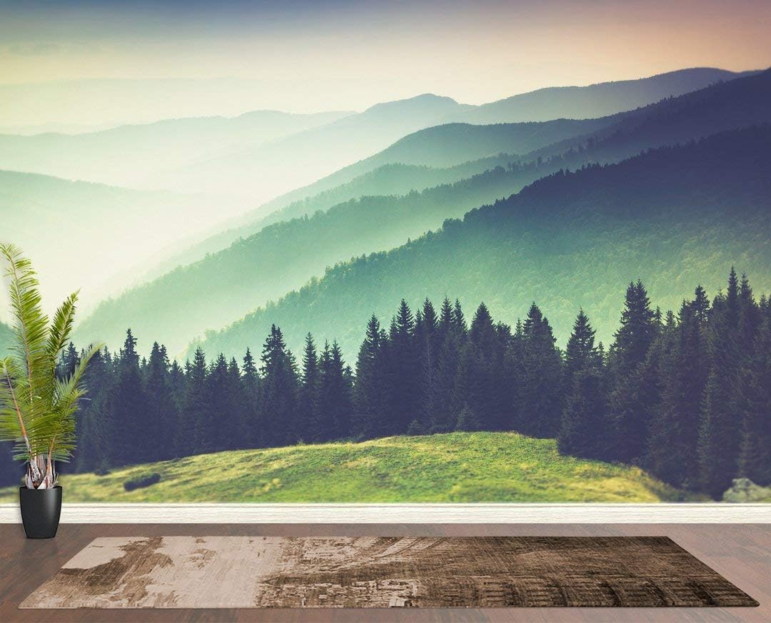 Amazon Com Stickerbrand Colorful Foggy Mountain Misty Forest Peel And Stick Wallpaper Removable Wall Mural 6159 9ft H X 4ft W Home Kitchen