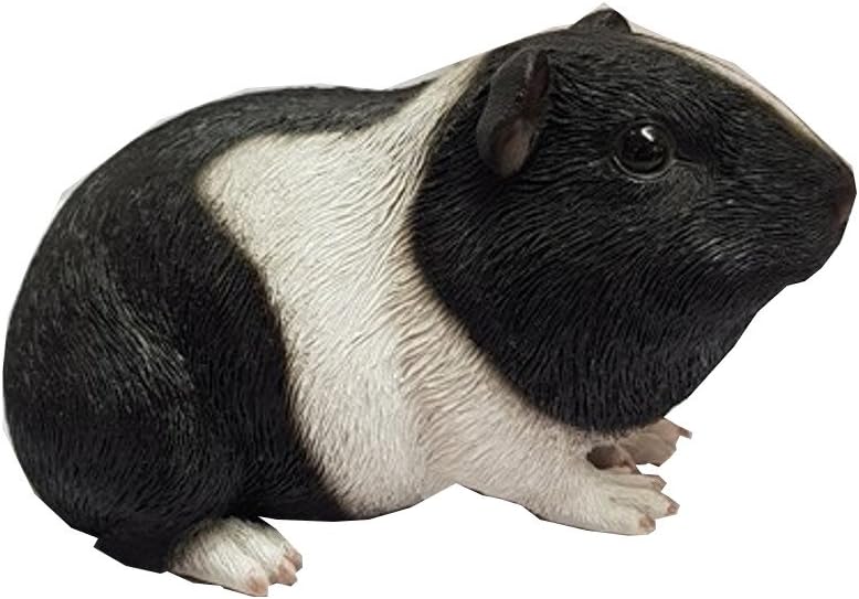 Vivid Arts Decoration Bebe Cochon D Inde Coloris Noir Et Blanc Pp Gp01 F Amazon Fr Fournitures De Bureau
