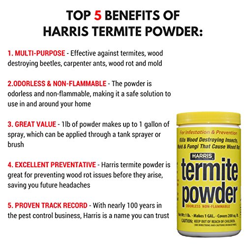 3 Termite+Treatment+Preventing+Controlling+Termites