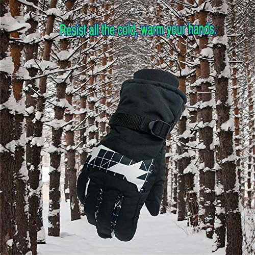 Unisex Waterproof Ski Gloves Winter Windproof Thermal Warm Insulated Skiing Snowboarding Snowmobile Motorcycle Glove (black)