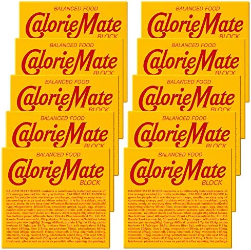 大塚製薬 カロリーメイト ブロック チョコレート味 4本 10箱