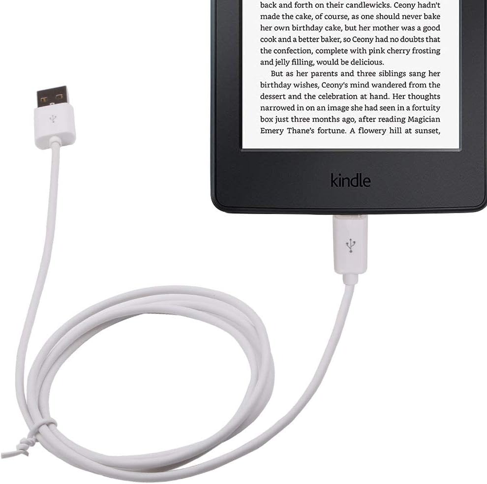  Kindle Replacement USB Cable, White (Works with 6", 9.7" Display, 2nd and Latest Generation Kindles): Kindle Store