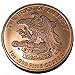 The Second Amendment Commemorative Coin Collection by Vx Investments. 3 2nd Amendment Challenge Coins in A Vx Investments Pouch Made from 1 Ounce of Pure .999 Copper