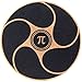 PI Fitness Balance Board: 15.5