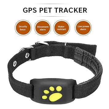 Gps belt for dogs Clearance
