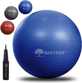 Bigtree Exercise Ball (55-75cm) Extra Thick Yoga Ball Chair, Anti-Burst Heavy Duty Stability Ball, Birthing Ball with Quick Pump (Office & Home & Gym)