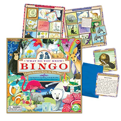 eeBoo What Do You Know Bingo