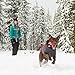 Ruffwear - Powder Hound Hybrid Insulation Jacket for Dogs, Baja Blue, Medium