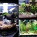 MingDak LED Aquarium Light Kit for Fish Tank,Underwater Submersible Crystal Glass Lights Suitable for Saltwater and Freshwater,42 LEDs,14.5-inch,Lighting Color White