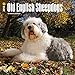 Old English Sheepdogs 2018 Calendar