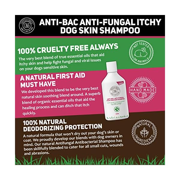 CG-Pets-Dog-Shampoo-For-Itchy-Skin-Antibacterial-And-Antifungal-100-Natural-Medicated-Low-Lather-Safe-Formula-Fast-Absorbing-and-Skin-Cooling-First-Aid-Great-For-Cuts-Grazes-Skin-Irritation C&G Pets | Dog Shampoo For Itchy Skin Antibacterial And Antifungal | 100% Natural Medicated Low Lather Safe Formula…
