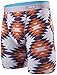 Stance Mens Temple Geo Boxers Underwear